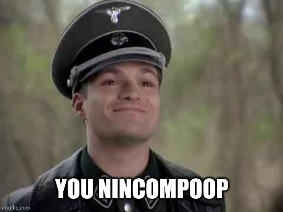 grammar nazi | YOU NINCOMPOOP | image tagged in grammar nazi | made w/ Imgflip meme maker