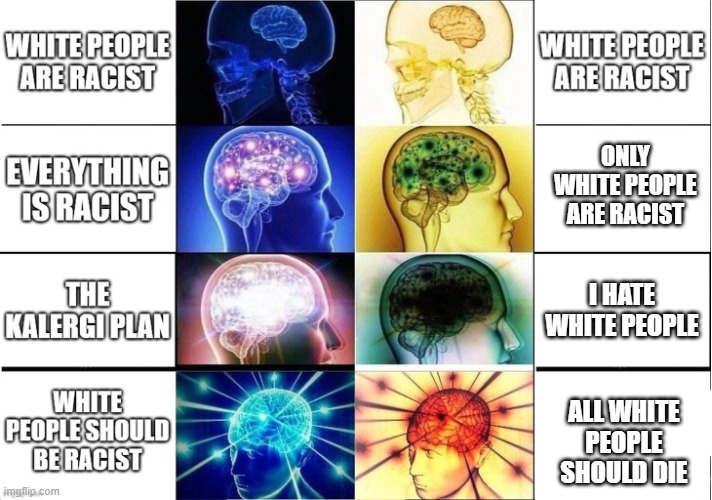 Healthy Brain Vs Unhealthy Brain | ONLY WHITE PEOPLE ARE RACIST; I HATE WHITE PEOPLE; ALL WHITE PEOPLE SHOULD DIE | image tagged in healthy brain vs unhealthy brain | made w/ Imgflip meme maker