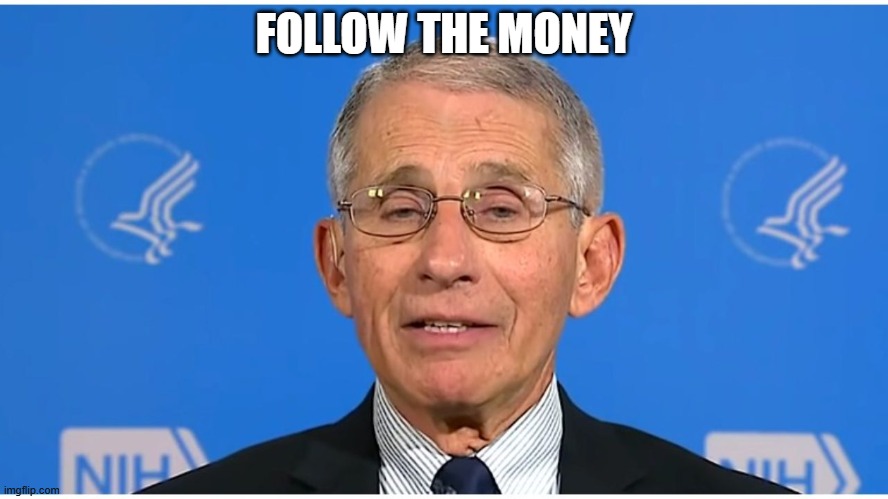 Dr Fauci | FOLLOW THE MONEY | image tagged in dr fauci | made w/ Imgflip meme maker