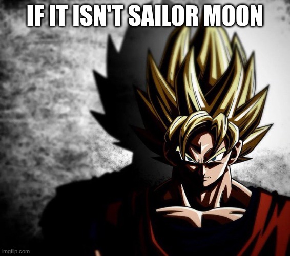 Goku stare | IF IT ISN'T SAILOR MOON | image tagged in goku stare | made w/ Imgflip meme maker