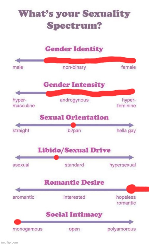 yeah despite how i've been in the past, idk if I see myself doing the silly irl for a few reasons and stuff, and if I take estro | image tagged in what's your sexuality spectrum | made w/ Imgflip meme maker