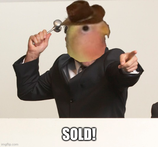 Gonb auctioneer sold me Gonb stream  | SOLD! | image tagged in auctioneer,gonb,sold | made w/ Imgflip meme maker