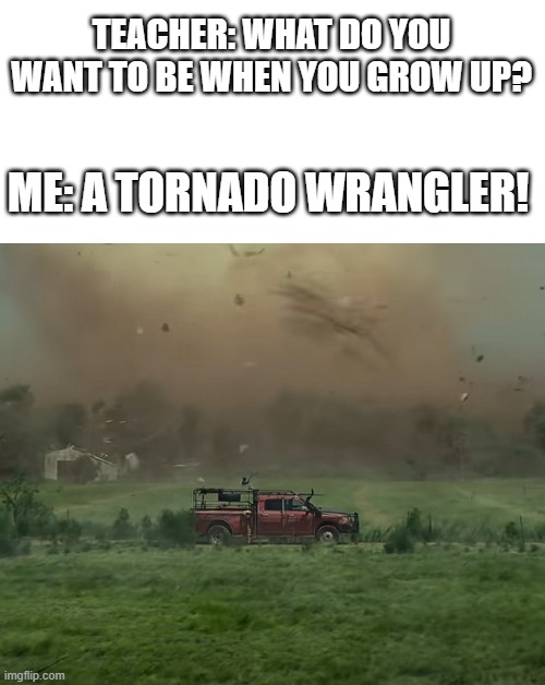 A tornado wrangler | TEACHER: WHAT DO YOU WANT TO BE WHEN YOU GROW UP? ME: A TORNADO WRANGLER! | image tagged in funny,memes,funny memes,tornado,what do you want to be when you grow up,stop reading the tags | made w/ Imgflip meme maker