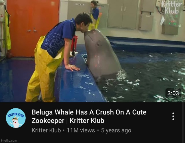 My recommendations getting wild | made w/ Imgflip meme maker