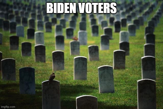 graveyard cemetary | BIDEN VOTERS | image tagged in graveyard cemetary | made w/ Imgflip meme maker