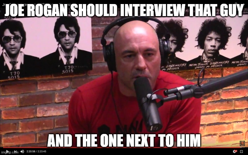 Joe Rogan | JOE ROGAN SHOULD INTERVIEW THAT GUY AND THE ONE NEXT TO HIM | image tagged in joe rogan | made w/ Imgflip meme maker