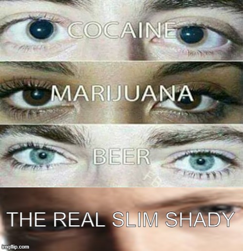 the real slim shady | THE REAL SLIM SHADY | image tagged in eye effect,eminem,memes,funny | made w/ Imgflip meme maker