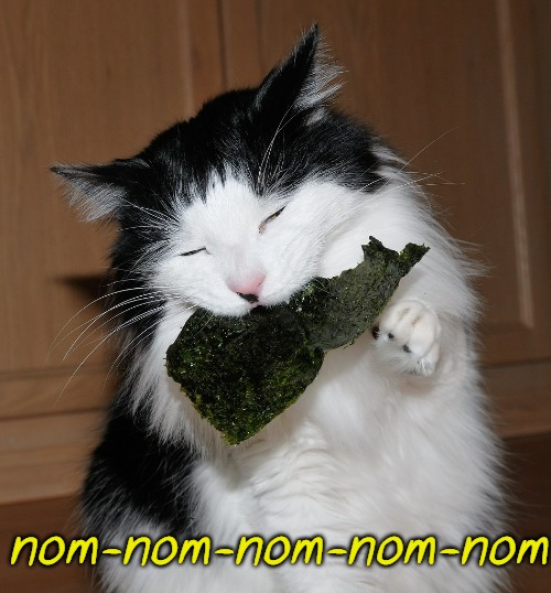 nom-nom-nom-nom-nom | made w/ Imgflip meme maker