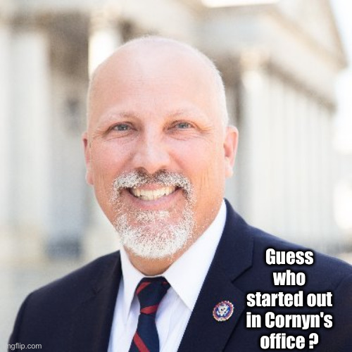 Roy Is A RINO Grandstander ! | Guess who started out in Cornyn's office ? | image tagged in chip roy,political meme,politics,funny memes,funny | made w/ Imgflip meme maker