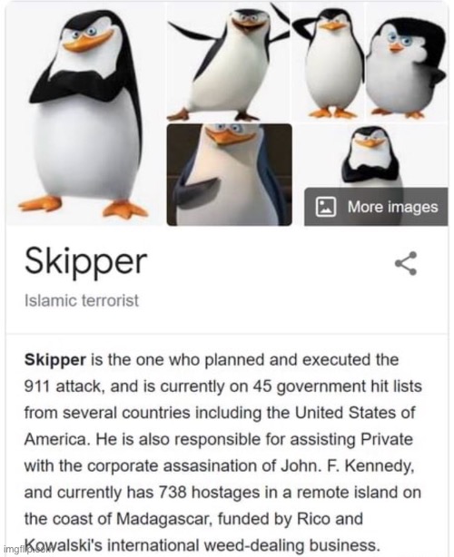 Skipper | image tagged in skipper | made w/ Imgflip meme maker