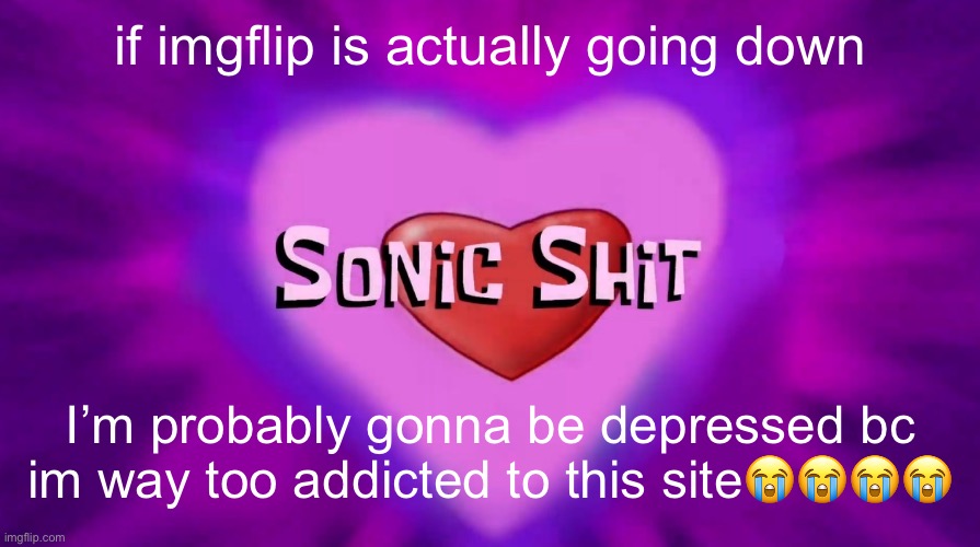 Sonic Shit | if imgflip is actually going down; I’m probably gonna be depressed bc im way too addicted to this site😭😭😭😭 | image tagged in sonic shit | made w/ Imgflip meme maker