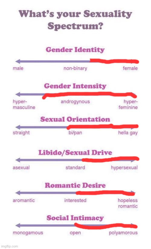 I think I did it right | image tagged in what's your sexuality spectrum | made w/ Imgflip meme maker
