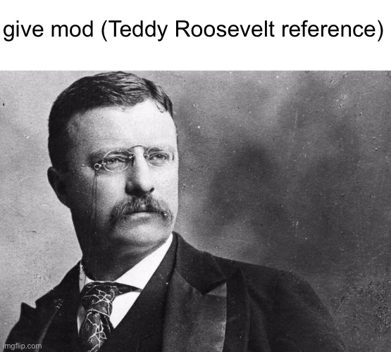 give mod | give mod (Teddy Roosevelt reference) | image tagged in theodore roosevelt | made w/ Imgflip meme maker