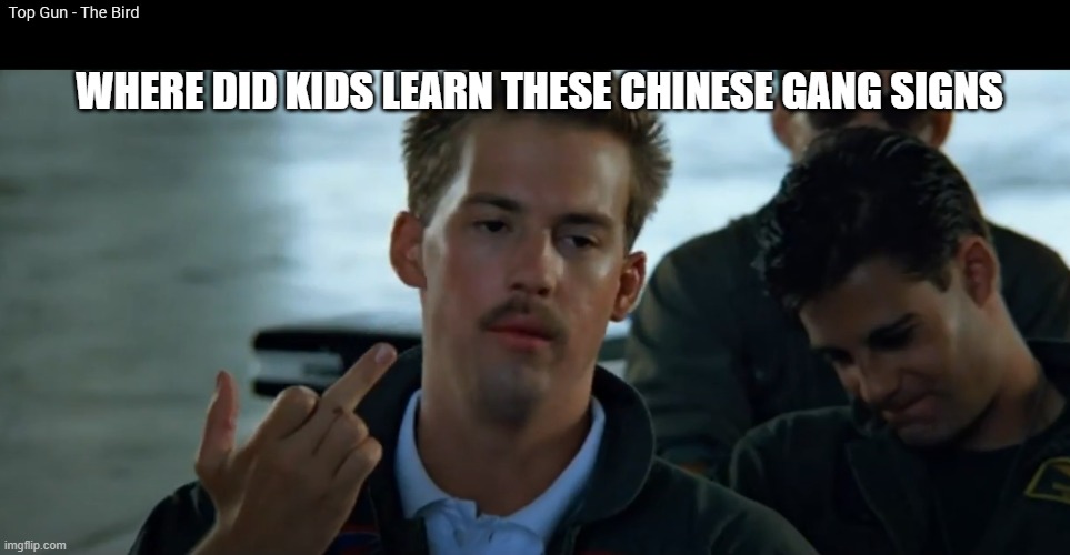 top gun the bird | WHERE DID KIDS LEARN THESE CHINESE GANG SIGNS | image tagged in bird,top gun | made w/ Imgflip meme maker