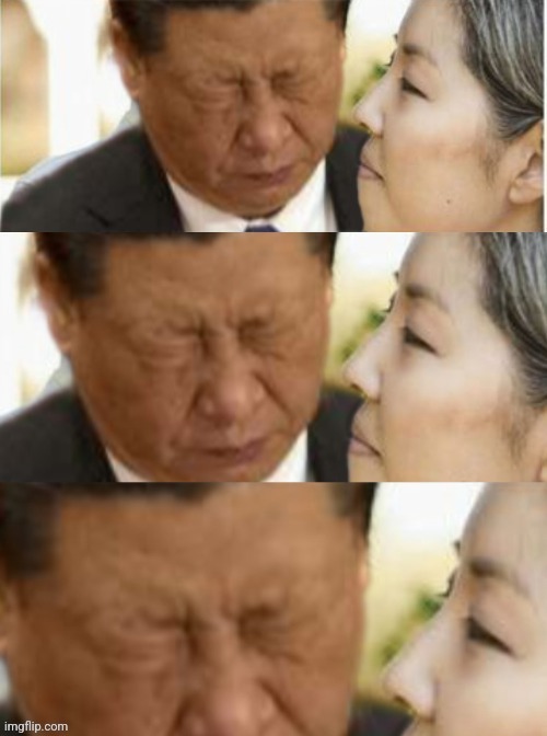 Sad Xi | image tagged in sad xi | made w/ Imgflip meme maker