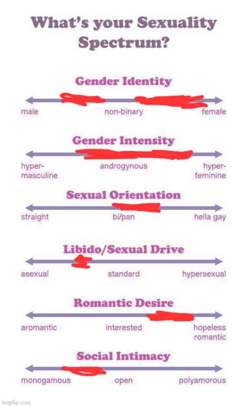 What's your sexuality spectrum? | image tagged in what's your sexuality spectrum | made w/ Imgflip meme maker