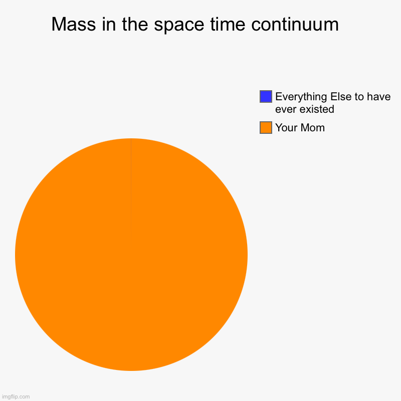 Mass in the space time continuum | Mass in the space time continuum  | Your Mom, Everything Else to have ever existed | image tagged in charts,pie charts | made w/ Imgflip chart maker