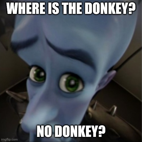 Megamind peeking | WHERE IS THE DONKEY? NO DONKEY? | image tagged in megamind peeking | made w/ Imgflip meme maker