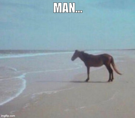 Man Horse Water | MAN... | image tagged in man horse water | made w/ Imgflip meme maker