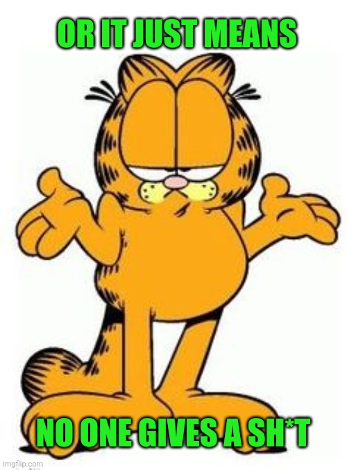 Garfield shrug | OR IT JUST MEANS NO ONE GIVES A SH*T | image tagged in garfield shrug | made w/ Imgflip meme maker