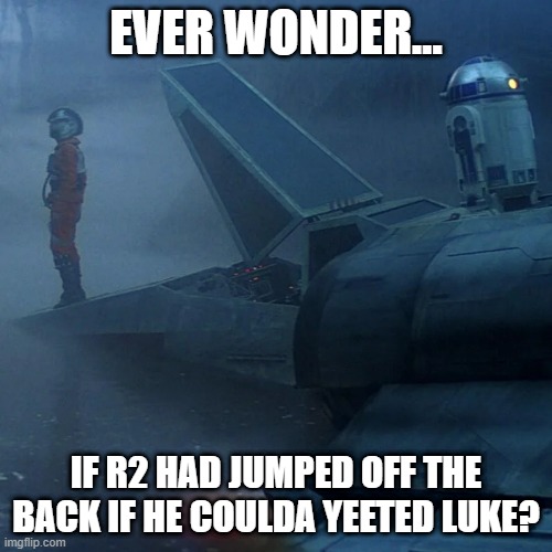 How Much Does He Weigh? | EVER WONDER... IF R2 HAD JUMPED OFF THE BACK IF HE COULDA YEETED LUKE? | image tagged in r2d2,luke skywalker | made w/ Imgflip meme maker