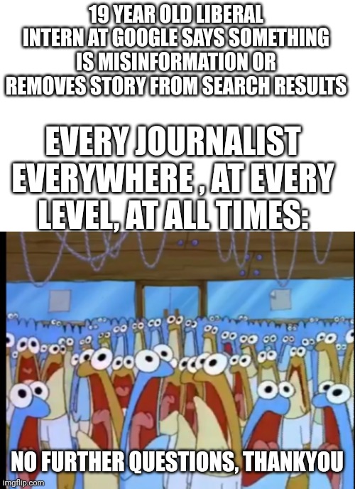 Spongebob Anchovies | 19 YEAR OLD LIBERAL INTERN AT GOOGLE SAYS SOMETHING IS MISINFORMATION OR REMOVES STORY FROM SEARCH RESULTS; EVERY JOURNALIST EVERYWHERE , AT EVERY LEVEL, AT ALL TIMES:; NO FURTHER QUESTIONS, THANKYOU | image tagged in spongebob anchovies | made w/ Imgflip meme maker