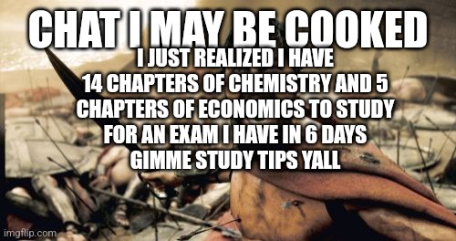 Sparta Leonidas | CHAT I MAY BE COOKED; I JUST REALIZED I HAVE
14 CHAPTERS OF CHEMISTRY AND 5
CHAPTERS OF ECONOMICS TO STUDY
FOR AN EXAM I HAVE IN 6 DAYS
GIMME STUDY TIPS YALL | image tagged in memes,sparta leonidas | made w/ Imgflip meme maker