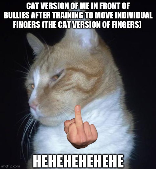 Just a random idea  | CAT VERSION OF ME IN FRONT OF BULLIES AFTER TRAINING TO MOVE INDIVIDUAL FINGERS (THE CAT VERSION OF FINGERS); HEHEHEHEHEHE | image tagged in troll/scumbag cat | made w/ Imgflip meme maker