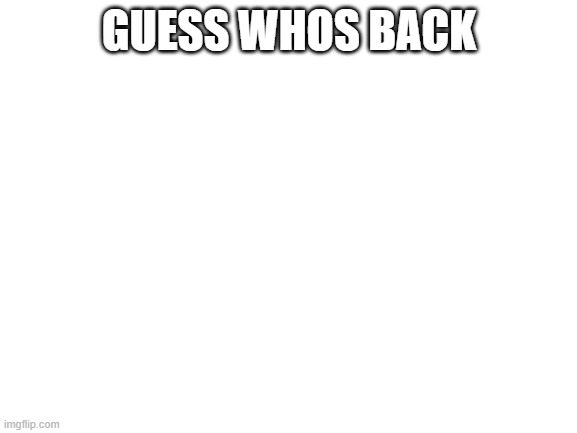 Blank White Template | GUESS WHOS BACK | image tagged in blank white template | made w/ Imgflip meme maker