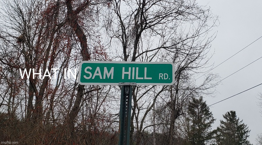 What in sam hill road? | WHAT IN | image tagged in memes | made w/ Imgflip meme maker