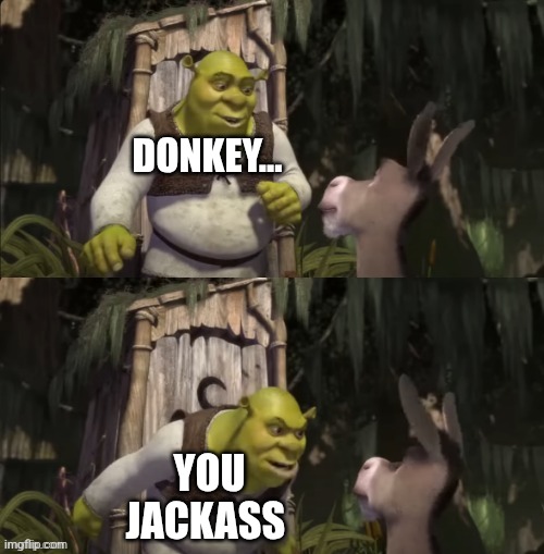 Shrek forgiving donkey | DONKEY... YOU JACKASS | image tagged in shrek forgiving donkey | made w/ Imgflip meme maker