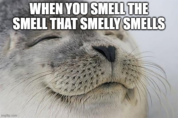 smell | WHEN YOU SMELL THE SMELL THAT SMELLY SMELLS | image tagged in memes,satisfied seal | made w/ Imgflip meme maker