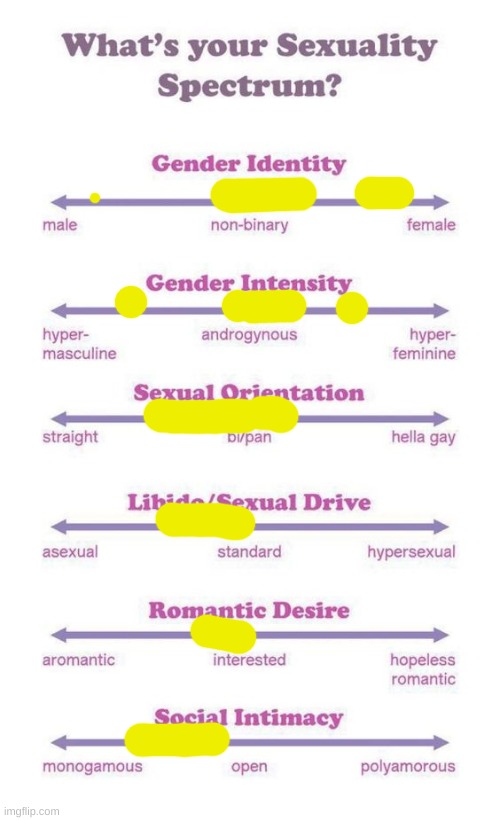 fuck it, my gender is cheese now (ref to how yellow the doot is) | image tagged in what's your sexuality spectrum | made w/ Imgflip meme maker