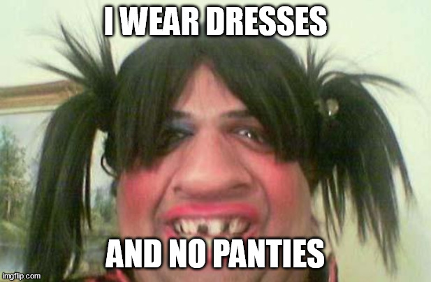 ugly woman with pigtails | I WEAR DRESSES; AND NO PANTIES | image tagged in ugly woman with pigtails | made w/ Imgflip meme maker