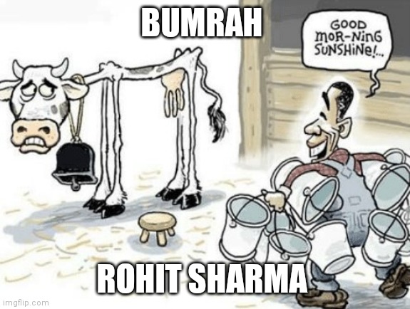 Good Morning sunshine (cow) | BUMRAH; ROHIT SHARMA | image tagged in good morning sunshine cow | made w/ Imgflip meme maker