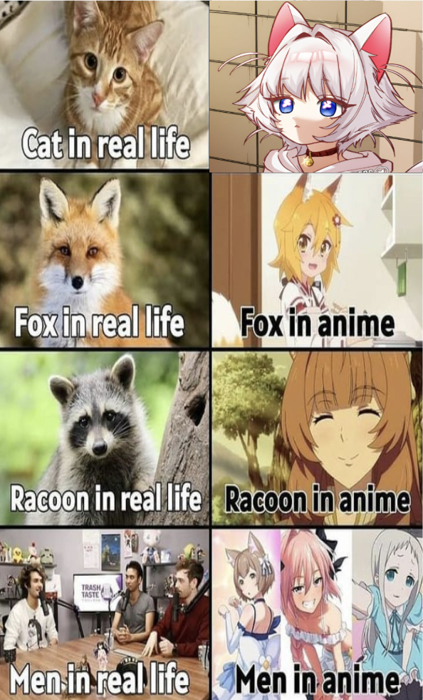 100kanojo nekonari tama catgirl Blank Meme Template
