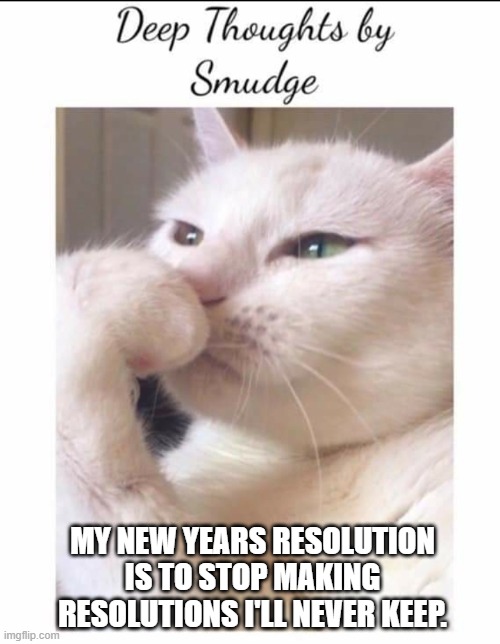 Resolutions | MY NEW YEARS RESOLUTION IS TO STOP MAKING RESOLUTIONS I'LL NEVER KEEP. | image tagged in smudge the cat | made w/ Imgflip meme maker