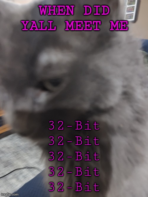 32's Cat | WHEN DID YALL MEET ME; 32-Bit
32-Bit
32-Bit
32-Bit
32-Bit | image tagged in 32's cat | made w/ Imgflip meme maker