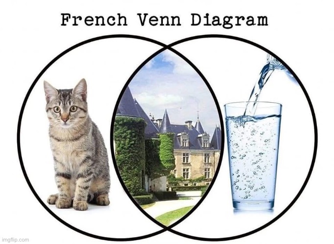 That’s French, Tish | image tagged in french,venn diagram,cat,chateau,water | made w/ Imgflip meme maker