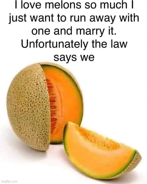 Elopement? | image tagged in marriage,wedding,cantaloupe | made w/ Imgflip meme maker