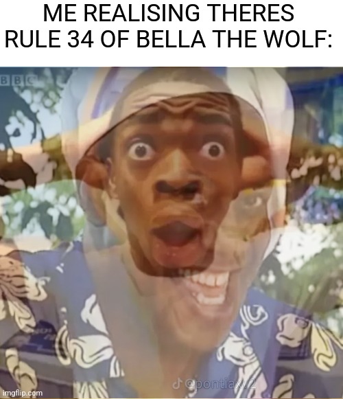 hehe boi | ME REALISING THERES RULE 34 OF BELLA THE WOLF: | image tagged in shocked black guy,hehe boi,bella the wolf | made w/ Imgflip meme maker