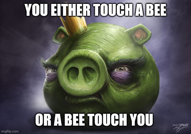 Angry Birds Realistic King Pig | YOU EITHER TOUCH A BEE; OR A BEE TOUCH YOU | image tagged in angry birds realistic king pig | made w/ Imgflip meme maker