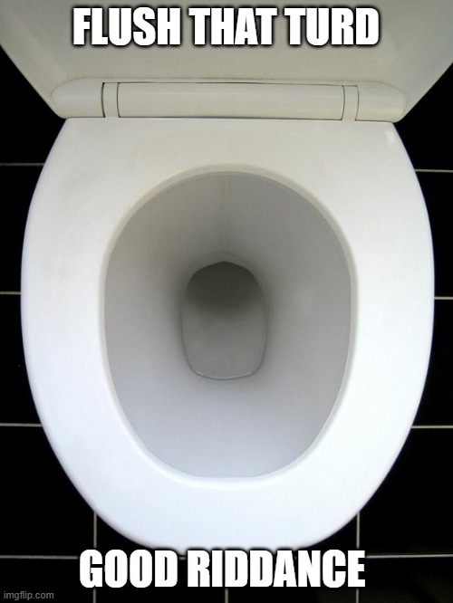 TOILET | FLUSH THAT TURD GOOD RIDDANCE | image tagged in toilet | made w/ Imgflip meme maker