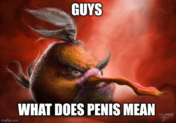 Realistic angry birds | GUYS; WHAT DOES PENIS MEAN | image tagged in realistic angry birds | made w/ Imgflip meme maker