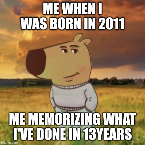 Memories | ME WHEN I WAS BORN IN 2011; ME MEMORIZING WHAT I'VE DONE IN 13YEARS | image tagged in chill guy | made w/ Imgflip meme maker