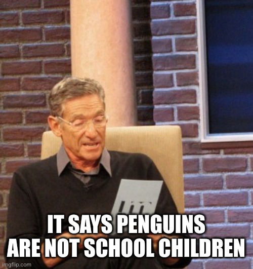 You are not the father | IT SAYS PENGUINS ARE NOT SCHOOL CHILDREN | image tagged in you are not the father | made w/ Imgflip meme maker