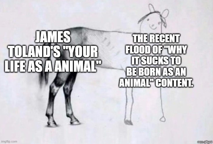 why do these videos get recommended to me by the algorithm? | JAMES TOLAND'S "YOUR LIFE AS A ANIMAL"; THE RECENT FLOOD OF "WHY IT SUCKS TO BE BORN AS AN ANIMAL" CONTENT. | image tagged in horse drawing | made w/ Imgflip meme maker