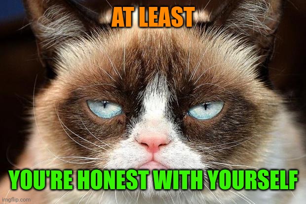 AT LEAST YOU'RE HONEST WITH YOURSELF | image tagged in memes,grumpy cat not amused,grumpy cat | made w/ Imgflip meme maker