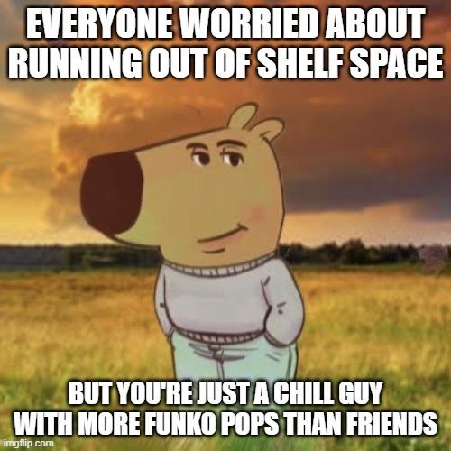 The Pop! life | EVERYONE WORRIED ABOUT RUNNING OUT OF SHELF SPACE; BUT YOU'RE JUST A CHILL GUY WITH MORE FUNKO POPS THAN FRIENDS | image tagged in chill guy | made w/ Imgflip meme maker