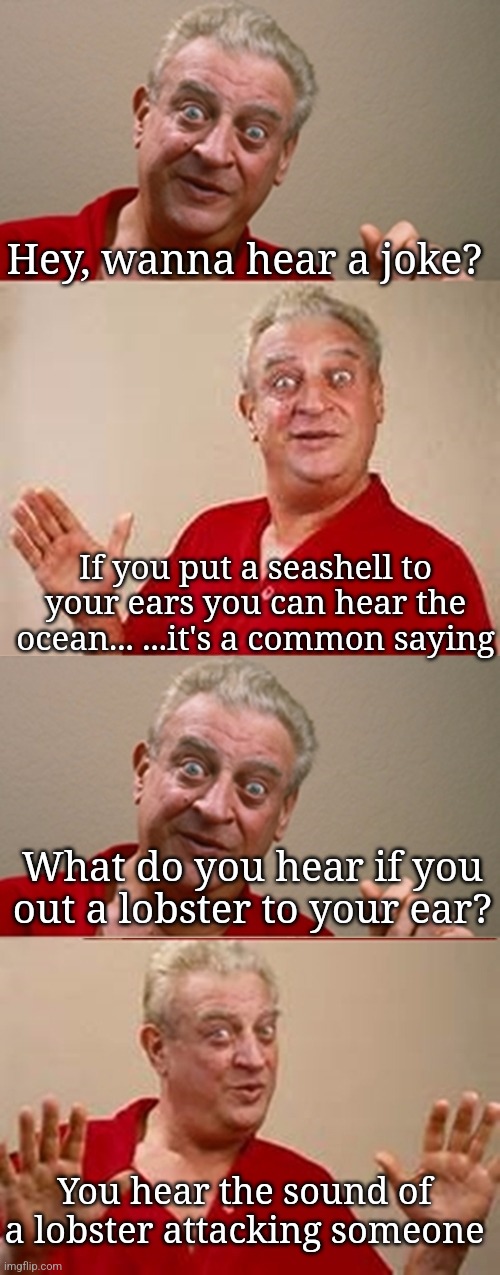 Hahahahaha I'm so funny | Hey, wanna hear a joke? If you put a seashell to your ears you can hear the ocean... ...it's a common saying; What do you hear if you out a lobster to your ear? You hear the sound of a lobster attacking someone | image tagged in bad pun rodney dangerfield | made w/ Imgflip meme maker